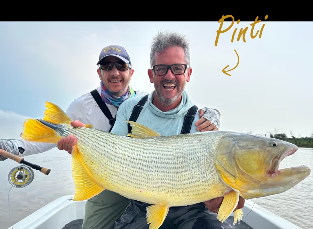 Pinti image