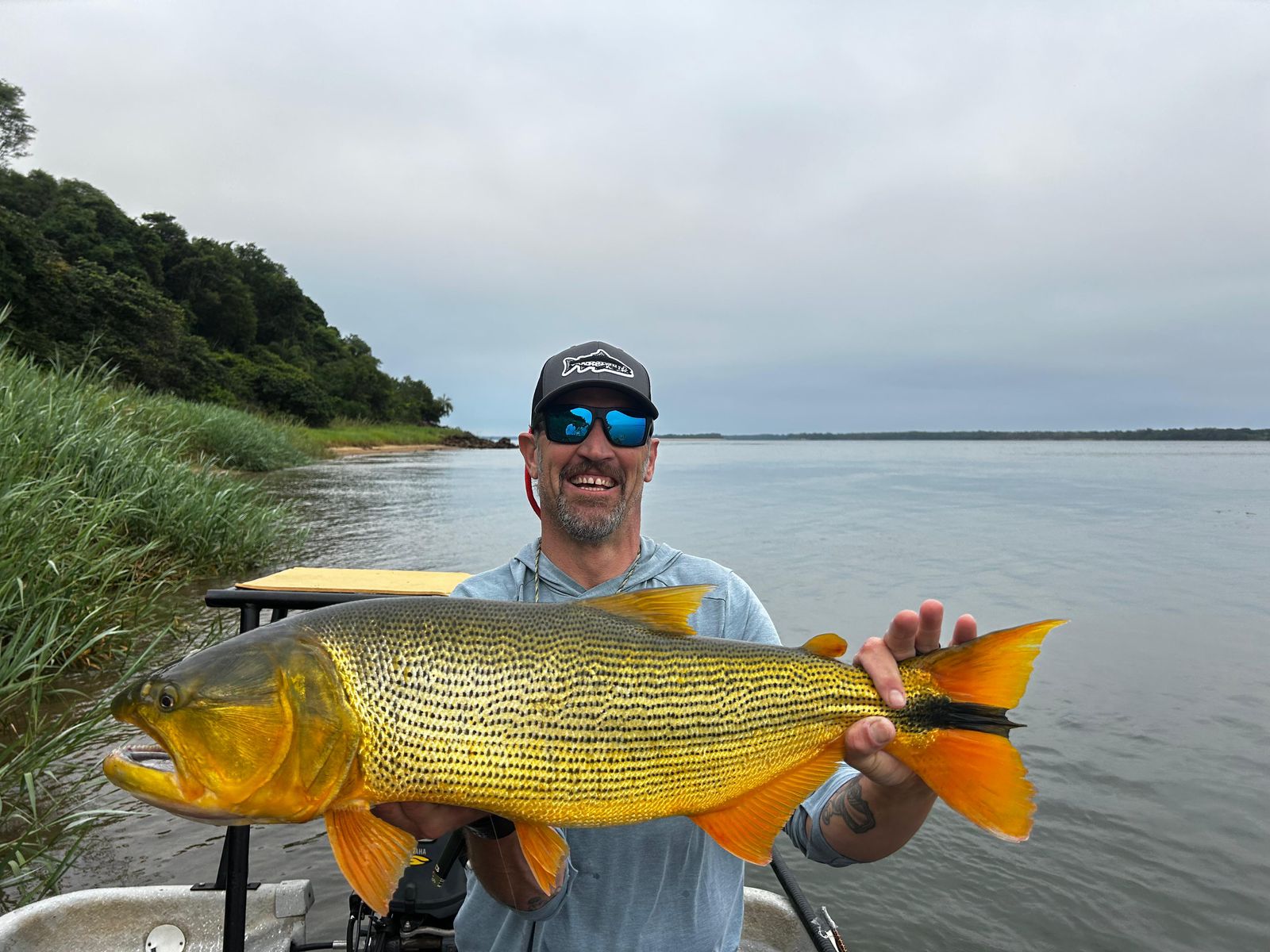 Pacú caught on a dry fly