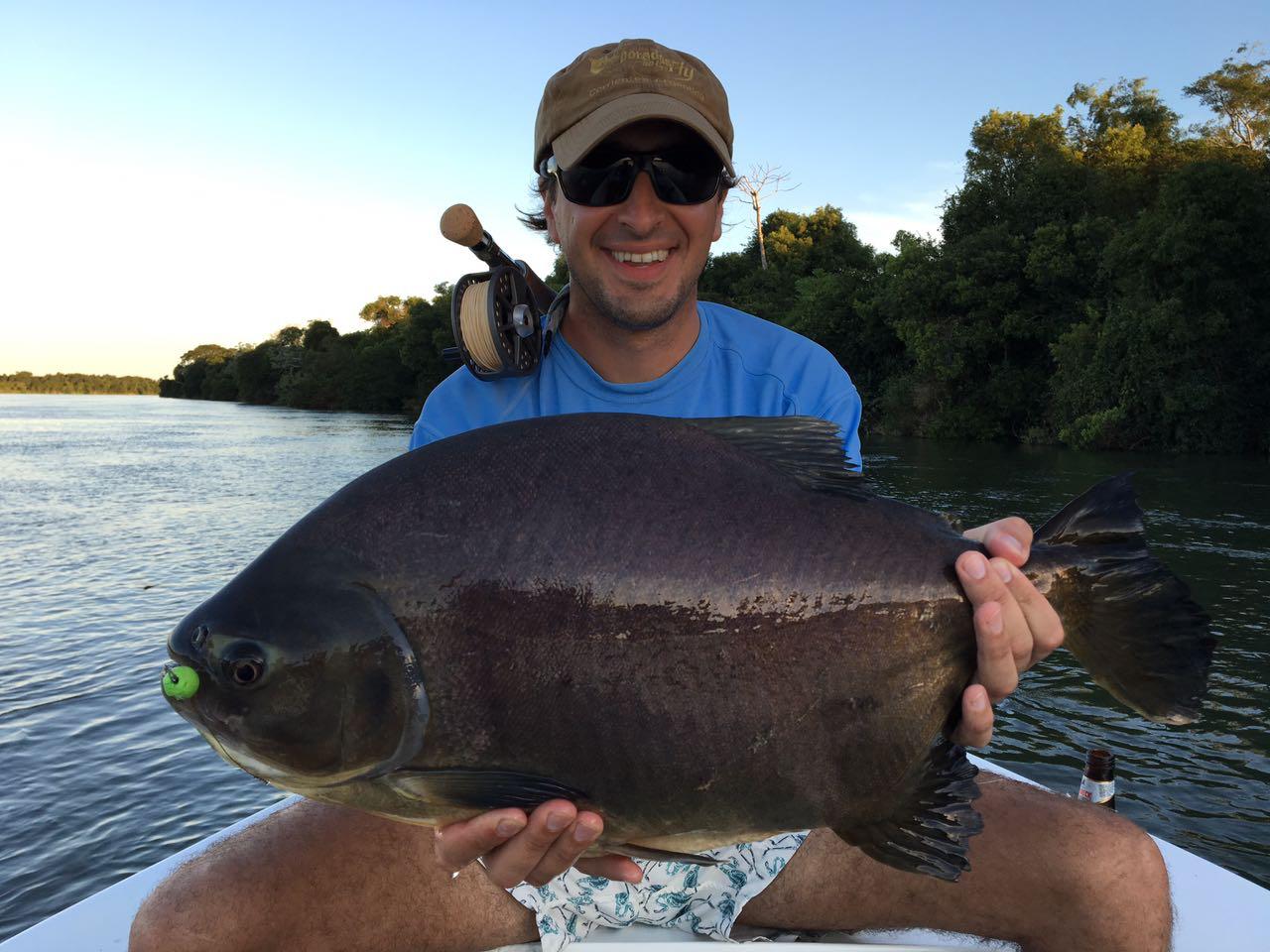 Pacú caught on a dry fly