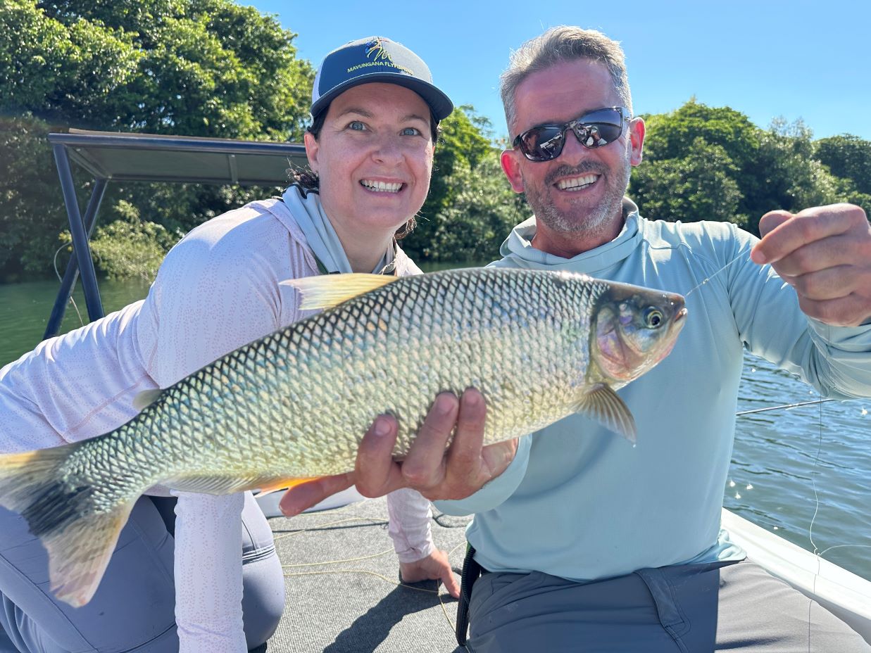 Pacú caught on a dry fly